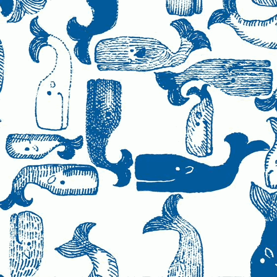 blue whales