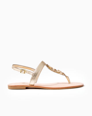 metallic t strap sandals