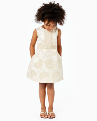 lilly pulitzer clare dress