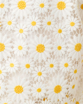 image 7 - Lilly Pulitzer