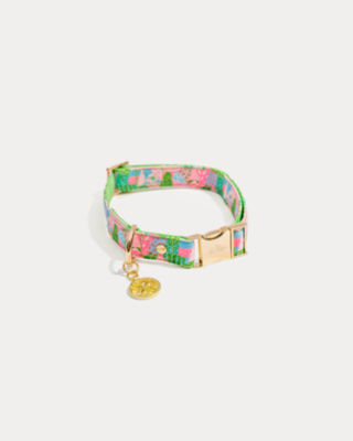 Small/Medium Pet Collar, Multi Crazy Quilt, large