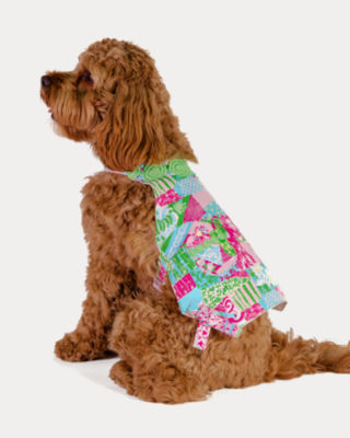 Pet Dress, Multi Crazy Quilt, large