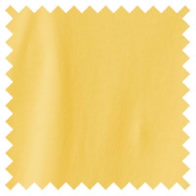 yellow swatch