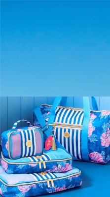 blue and white striped bags
