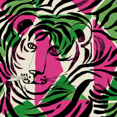 tiger