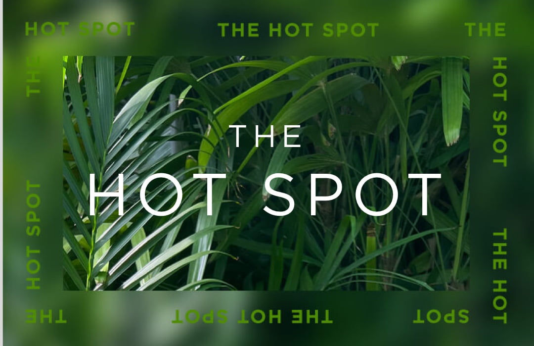 the hot spot
