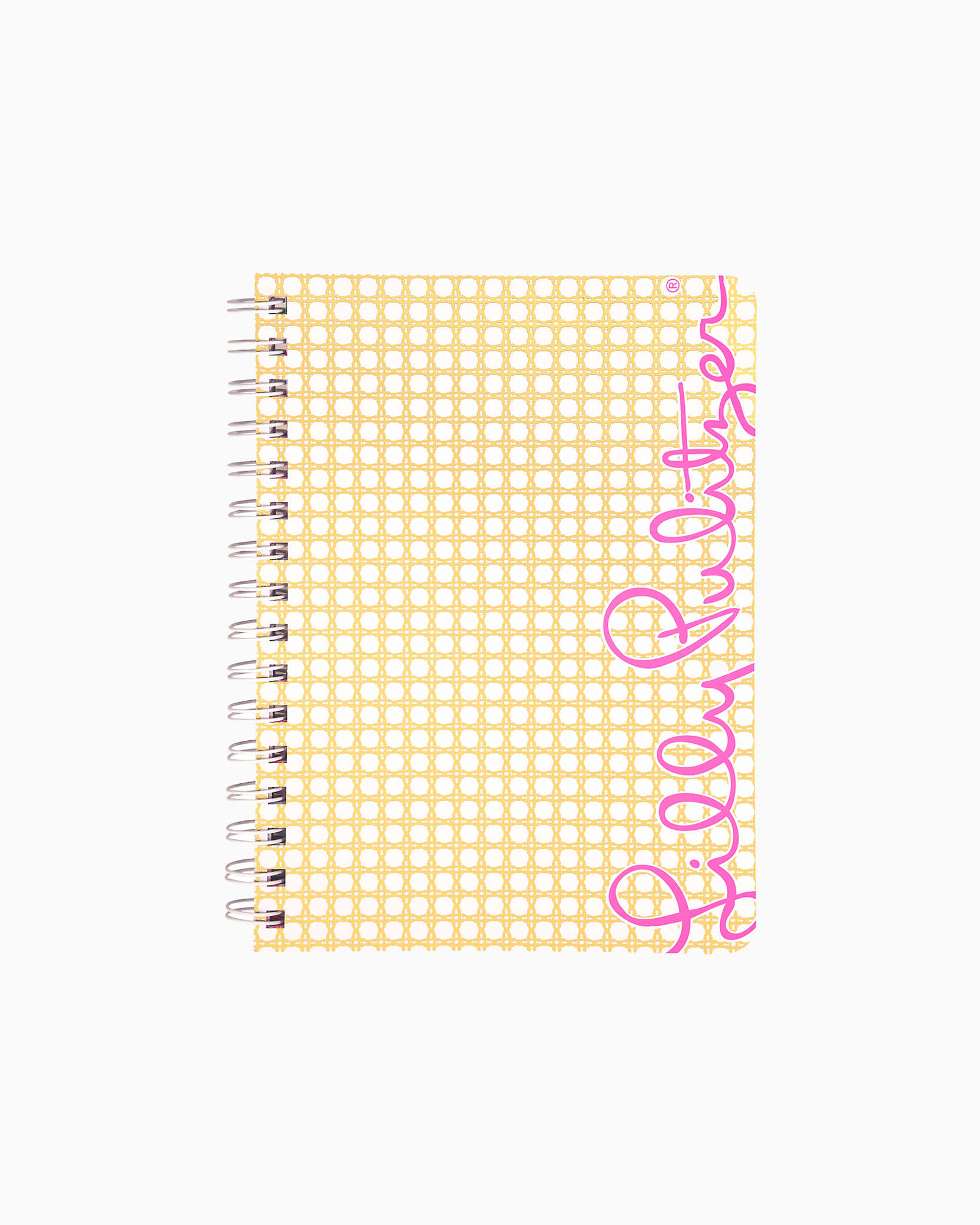 Lilly Pulitzer Mini Notebook In Gold Metallic Caning