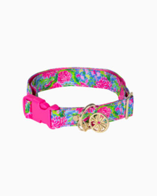 Lilly pulitzer 2025 dog accessories