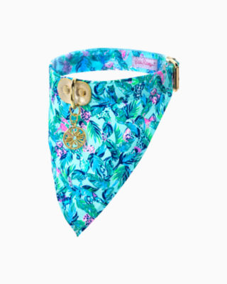 Dog Collar With Bandana Medium/Large Lilly Pulitzer