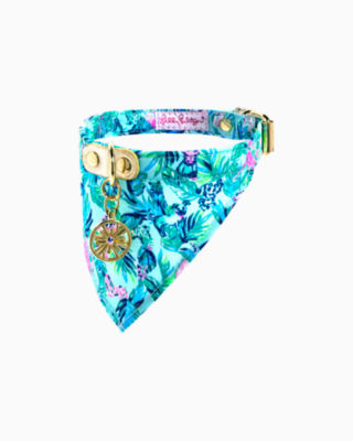 Dog Collar With Bandana Small/Medium, , large - Lilly Pulitzer