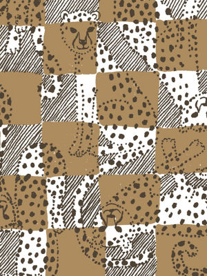 Cheetah Checks Image