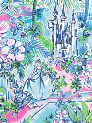 Lilly Loves Cinderella Image