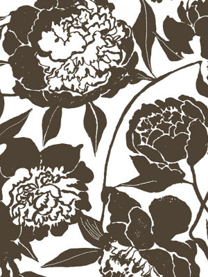 Marni Image