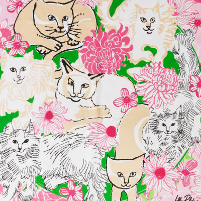 Nine Lives Society