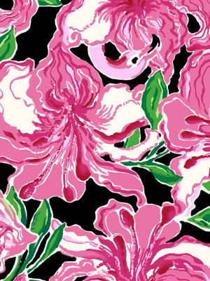 Party All The Time Image