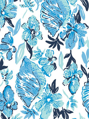 Seashell Splendor Image