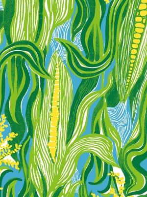 Sweet Corn Image